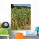 Corn Stalks Wall Decal