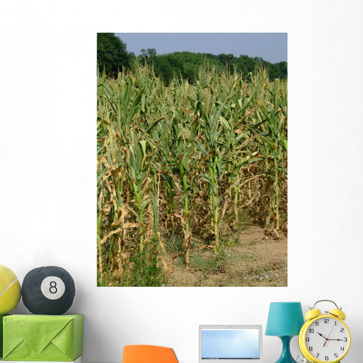 Corn Stalks Wall Decal
