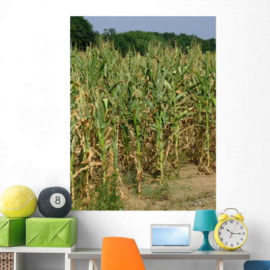 Corn Stalks Wall Decal