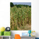 Corn Stalks Wall Decal