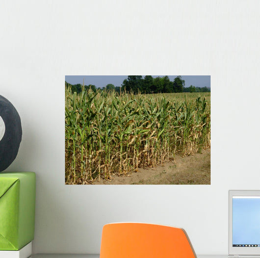 Corn Field Wall Decal