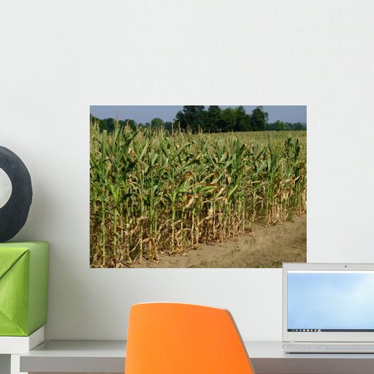 Corn Field Wall Decal