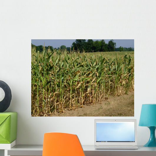 Corn Field Wall Decal