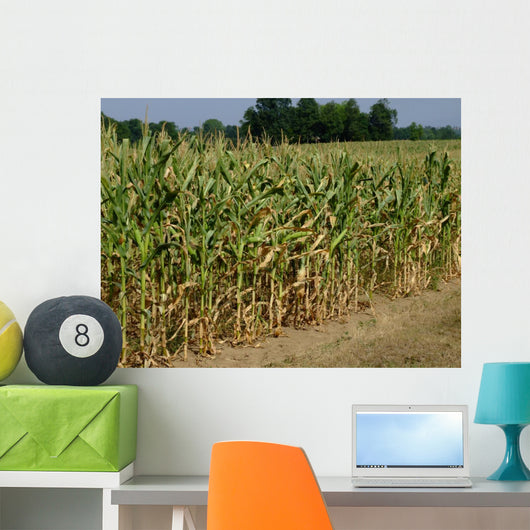 Corn Field Wall Decal