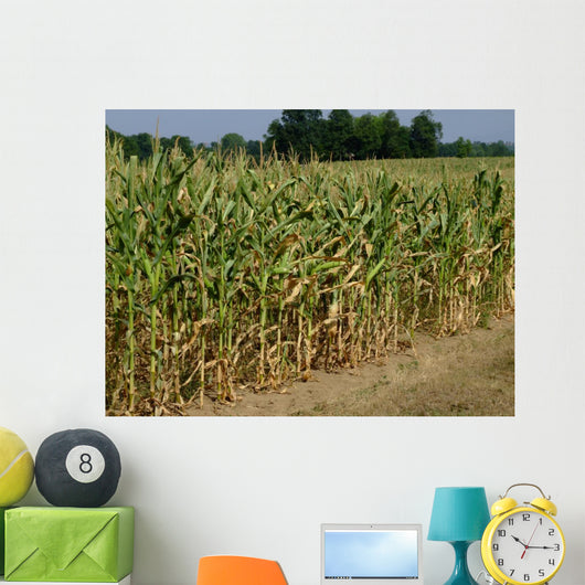 Corn Field Wall Decal