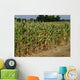 Corn Field Wall Decal