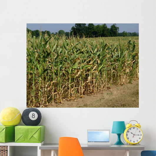 Corn Field Wall Decal