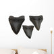 Megalodon Teeth Wall Decal