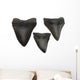 Megalodon Teeth Wall Decal