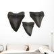 Megalodon Teeth Wall Decal