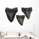 Megalodon Teeth Wall Decal