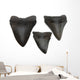Megalodon Teeth Wall Decal