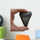 Megalodon Tooth Wall Decal