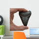 Megalodon Tooth Wall Decal