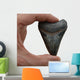 Megalodon Tooth Wall Decal