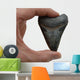 Megalodon Tooth Wall Decal
