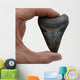 Megalodon Tooth Wall Decal