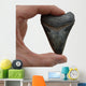 Megalodon Tooth Wall Decal