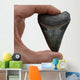 Megalodon Tooth Wall Decal