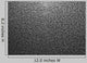 Metal Gray Grind Wall Decal