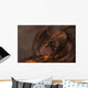 Molten Roch Dragon Wall Decal