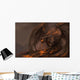 Molten Roch Dragon Wall Decal