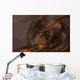 Molten Roch Dragon Wall Decal