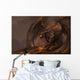 Molten Roch Dragon Wall Decal
