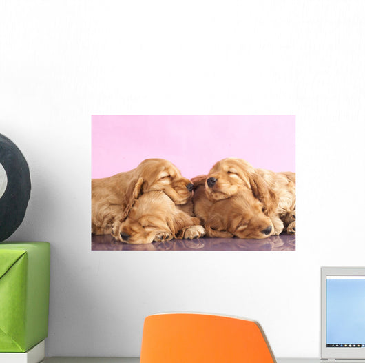 English Cocker Spaniel Puppy Wall Decal