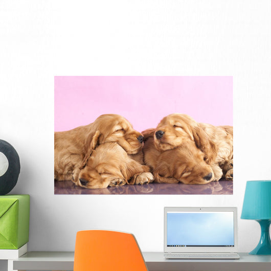 English Cocker Spaniel Puppy Wall Decal