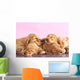 English Cocker Spaniel Puppy Wall Decal