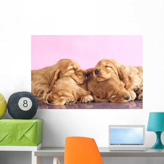 English Cocker Spaniel Puppy Wall Decal