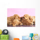 English Cocker Spaniel Puppy Wall Decal