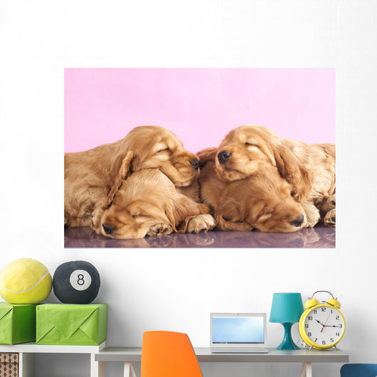 English Cocker Spaniel Puppy Wall Decal