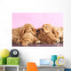 English Cocker Spaniel Puppy Wall Decal