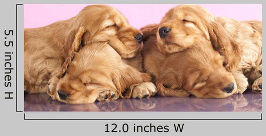 English Cocker Spaniel Puppy Wall Decal