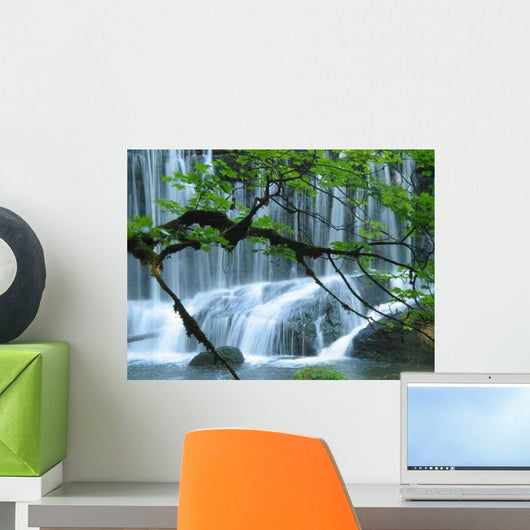 Rocky Bottom of a Waterfall Wall Decal