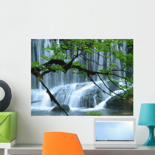 Rocky Bottom of a Waterfall Wall Decal