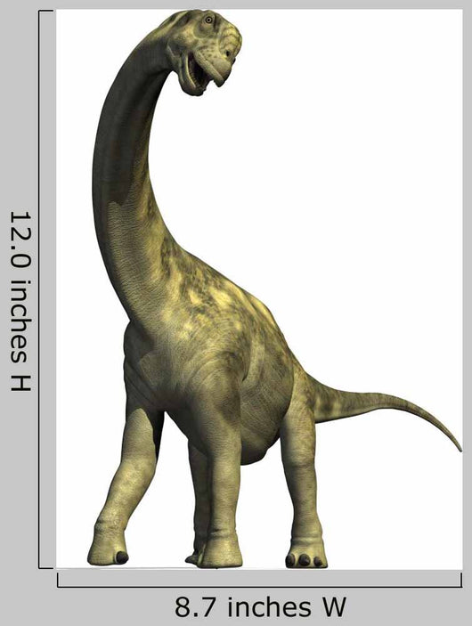 Camarasaurus Dinosaur 2 Wall Decal