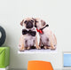 Adorable Pug Puppy Dogs Wall Decal