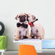 Adorable Pug Puppy Dogs Wall Decal
