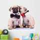 Adorable Pug Puppy Dogs Wall Decal