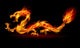 Fire Dragon Wall Decal