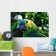 Amazon Parrot Wall Decal
