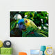 Amazon Parrot Wall Decal