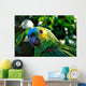 Amazon Parrot Wall Decal