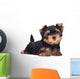 Yorkshire Terrier Puppy Sploot Wall Decal
