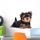 Yorkshire Terrier Puppy Sploot Wall Decal