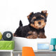 Yorkshire Terrier Puppy Sploot Wall Decal