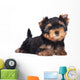 Yorkshire Terrier Puppy Sploot Wall Decal